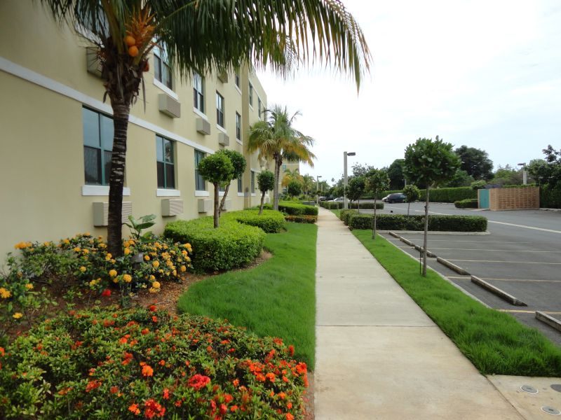 New Garden Design, Inc. Landscape Contractors Puerto Rico Jardínes