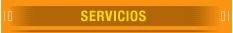 Servicios